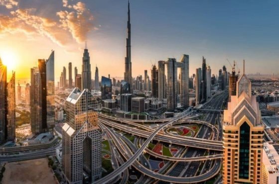 Top Investment Opportunities You Shouldn’t Miss